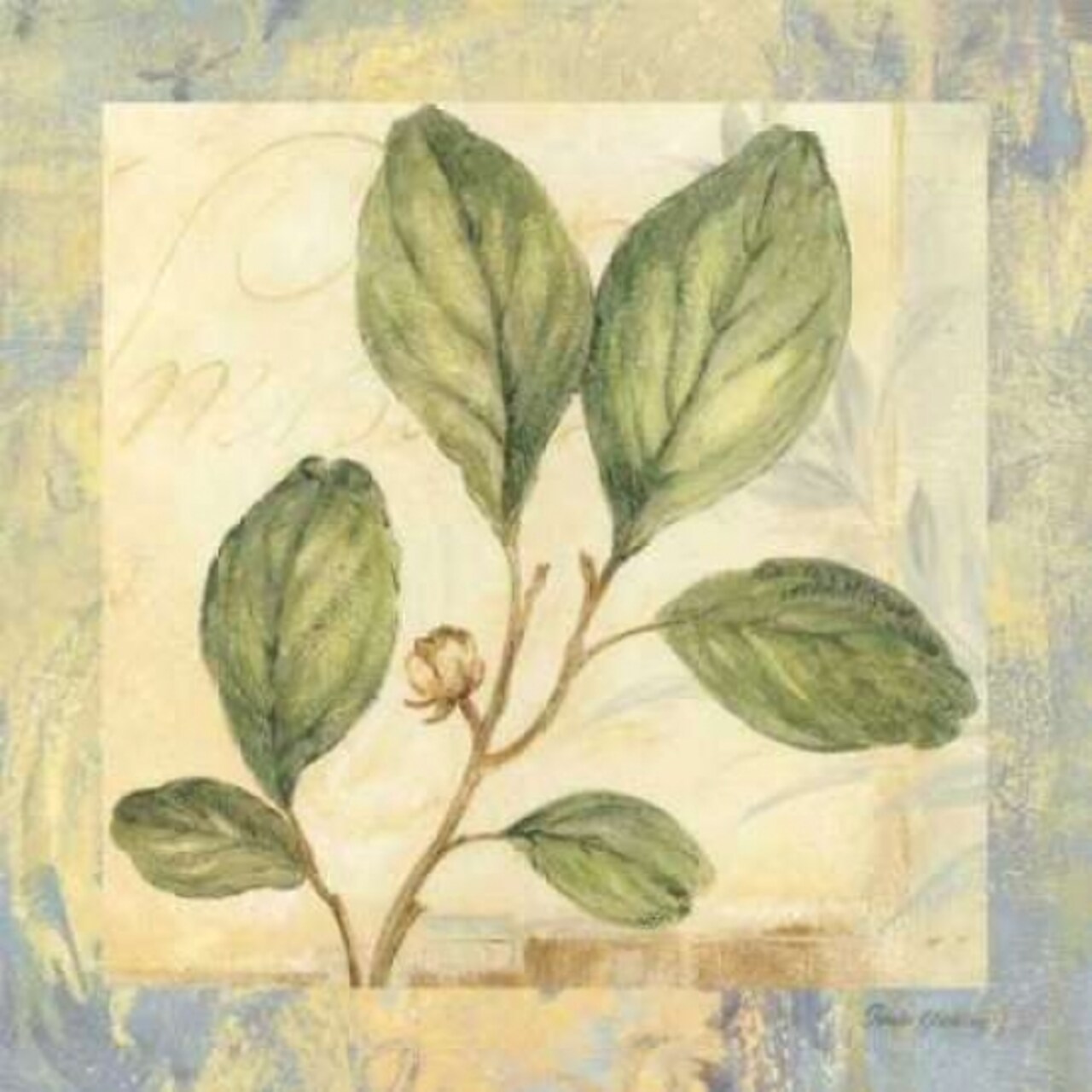 Leaf Botanicals IV Poster Print by Pamela Gladding - Item # VARPDXGLA404